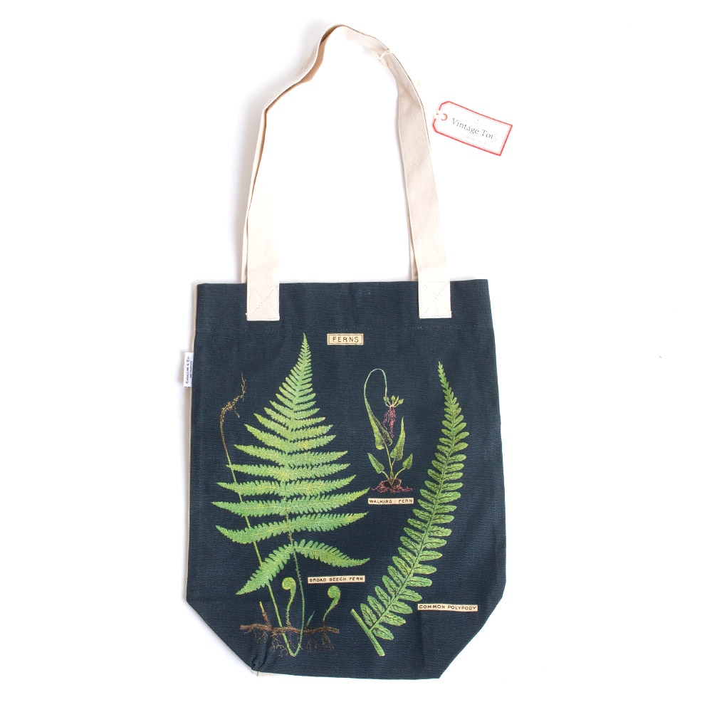 Cavallini, Pencil Pouch, Art & School, Canvas, Ferns, 376265